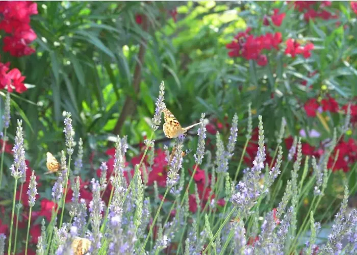 Cozy Stone House Next To *
