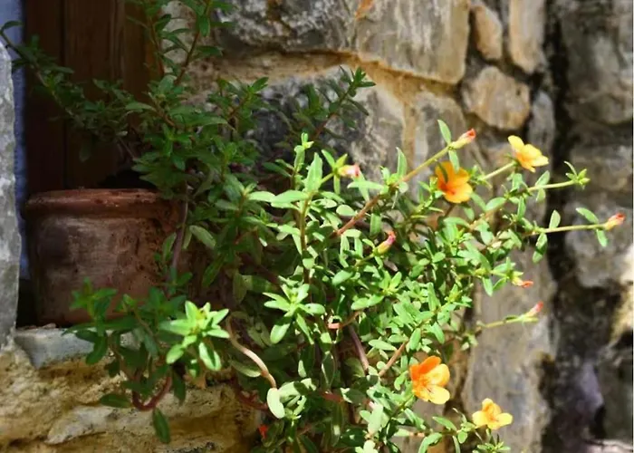 Cozy Stone House Next To Skiathos Chora